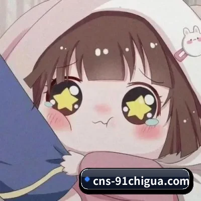 🍉 关于我们